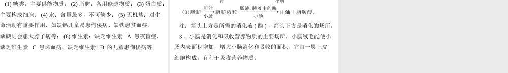 【中考风向标】2013年中考生物复习 人体的营养课件