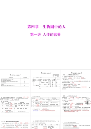 【中考风向标】2013年中考生物复习 人体的营养课件