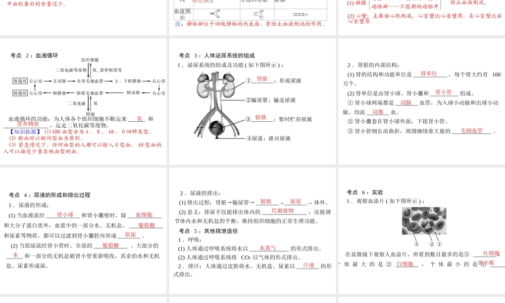 【中考风向标】2013年中考生物复习 人体内的物质运输及废物的形成与排出课件