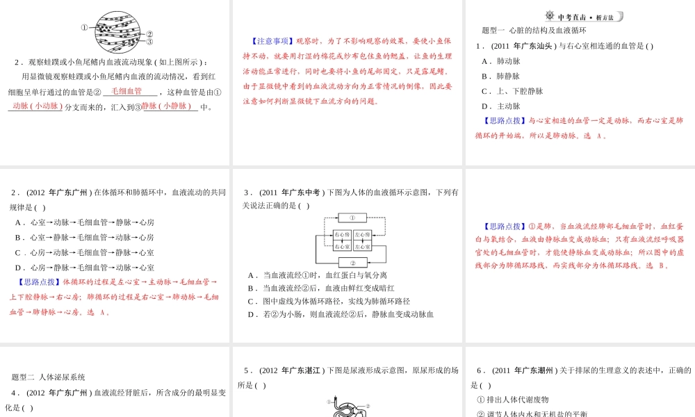 【中考风向标】2013年中考生物复习 人体内的物质运输及废物的形成与排出课件