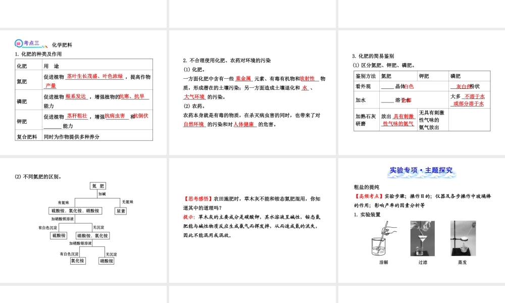 【冲刺中考】2013年中考化学专题复习 第十一单元 盐 化肥课件（知识清单+聚焦突破+感悟中考+智能升级）