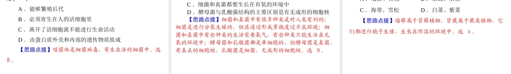 【中考风向标】2013年中考生物复习 生物的多样性课件