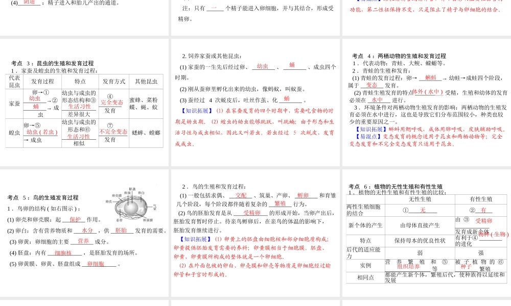 【中考风向标】2013年中考生物复习 生物的生殖和发育课件