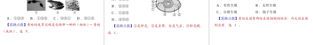 【中考风向标】2013年中考生物复习 生物的生殖和发育课件