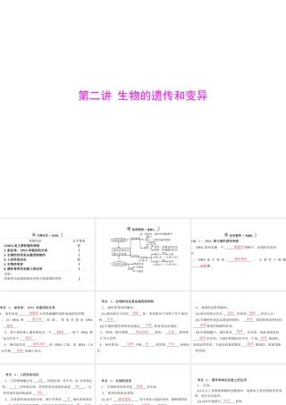 【中考风向标】2013年中考生物复习 生物的遗传和变异课件