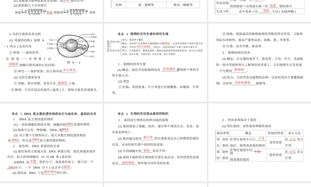 《金牌学案 风向标》广东省中考生物总复习 第一部分 第六章 生物的生殖、发育与遗传课件 人教新课标版