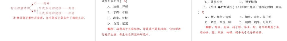 《金牌学案 风向标》广东省中考生物总复习 第一部分 第七章 生物的多样性课件 人教新课标版