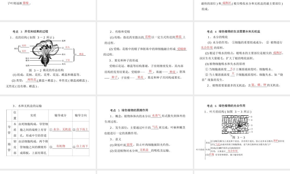 《金牌学案 风向标》广东省中考生物总复习 第一部分 第三章 生物圈中的绿色植物课件 人教新课标版