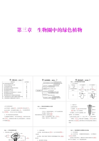 《金牌学案 风向标》广东省中考生物总复习 第一部分 第三章 生物圈中的绿色植物课件 人教新课标版