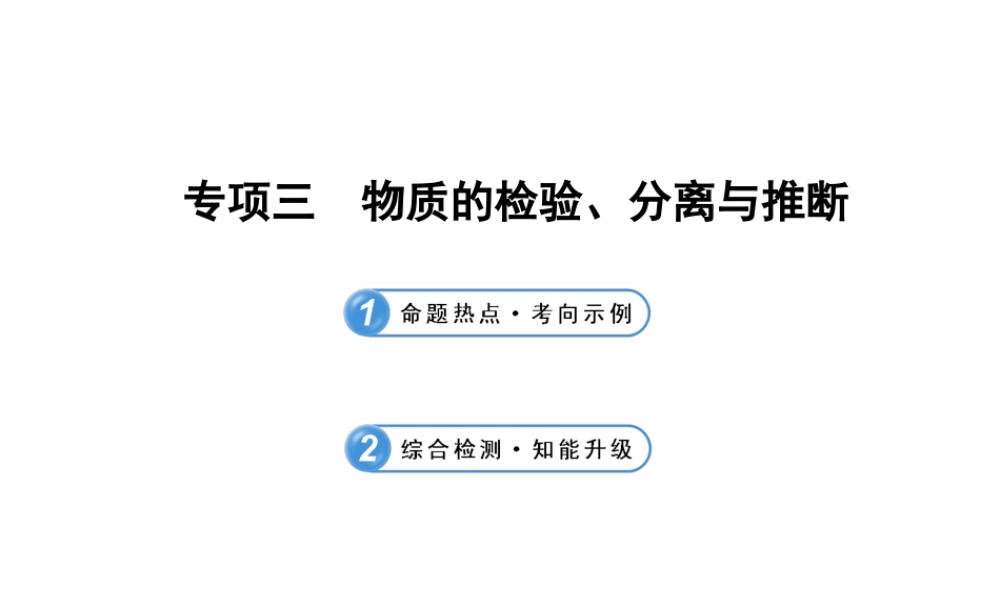 【冲刺中考】2013年中考化学专题复习 专项三 物质的检验、分离与推断课件（命题热点+综合检测）