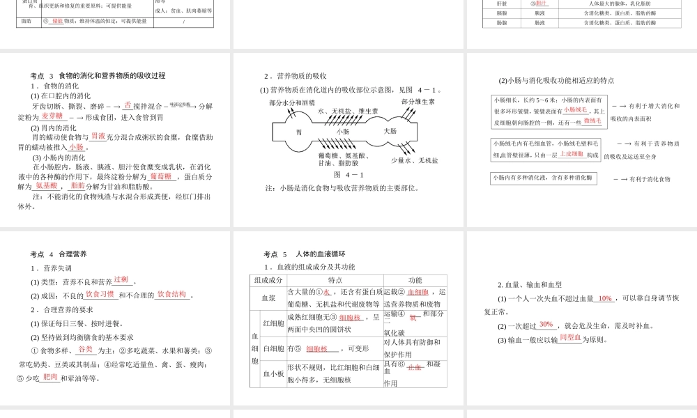 《金牌学案 风向标》广东省中考生物总复习 第一部分 第四章 生物圈中的人课件 人教新课标版
