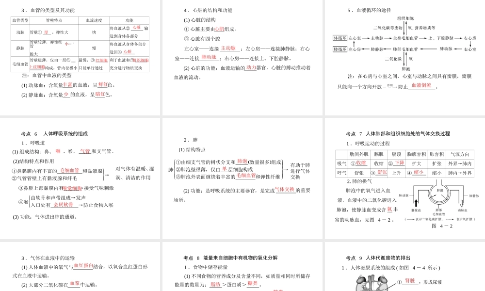 《金牌学案 风向标》广东省中考生物总复习 第一部分 第四章 生物圈中的人课件 人教新课标版