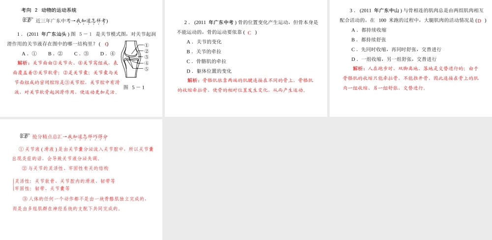 《金牌学案 风向标》广东省中考生物总复习 第一部分 第五章 动物的运动和行为课件 人教新课标版