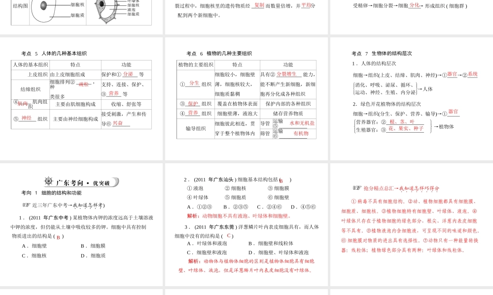 《金牌学案 风向标》广东省中考生物总复习 第一部分 第一章 生物体的结构层次课件 人教新课标版