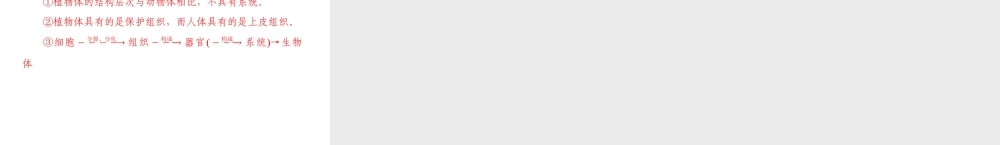 《金牌学案 风向标》广东省中考生物总复习 第一部分 第一章 生物体的结构层次课件 人教新课标版