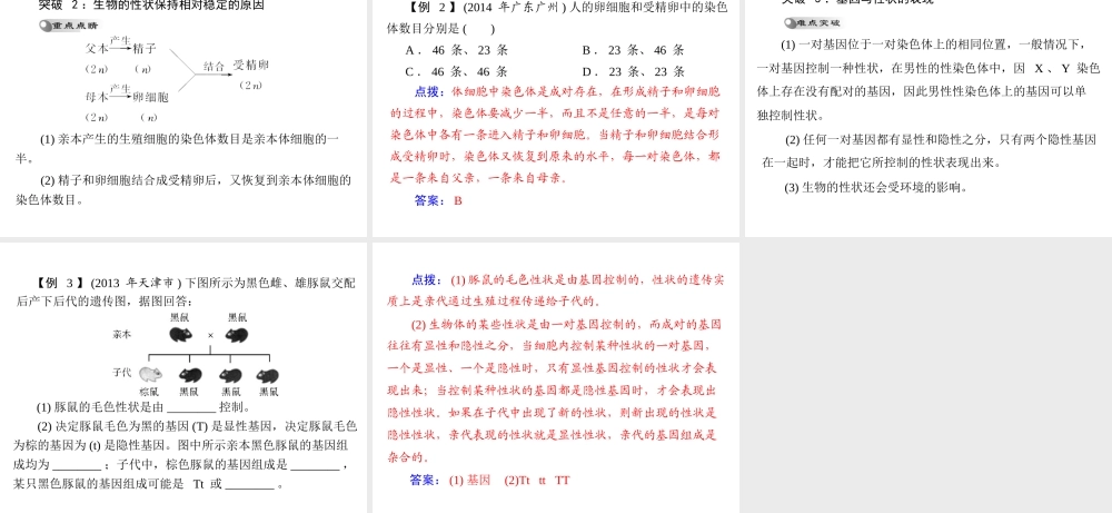 【中考风向标】2015年中考生物基础复习 第六章 第二讲 生物的遗传和变异课件