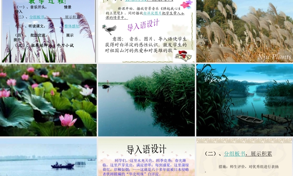 《芦花荡》 （说课）