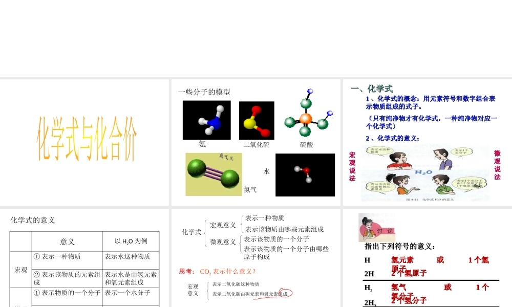 【冲刺中考】2013中考化学难点突破专题01 化学式与化合价课件