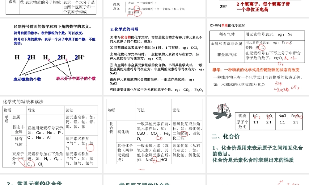 【冲刺中考】2013中考化学难点突破专题01 化学式与化合价课件