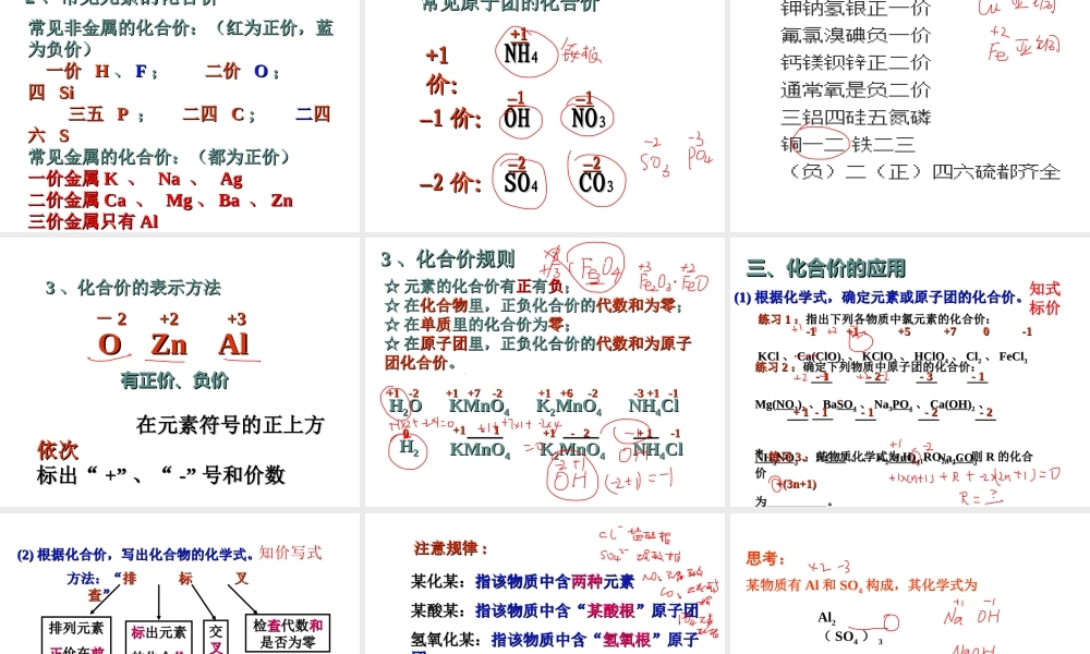 【冲刺中考】2013中考化学难点突破专题01 化学式与化合价课件