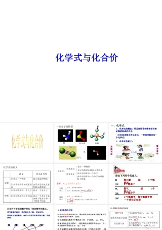 【冲刺中考】2013中考化学难点突破专题01 化学式与化合价课件