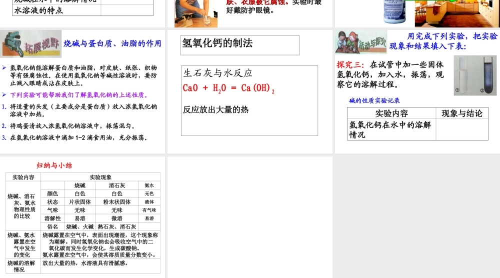 【冲刺中考】2013中考化学难点突破专题02 几种常见的碱课件