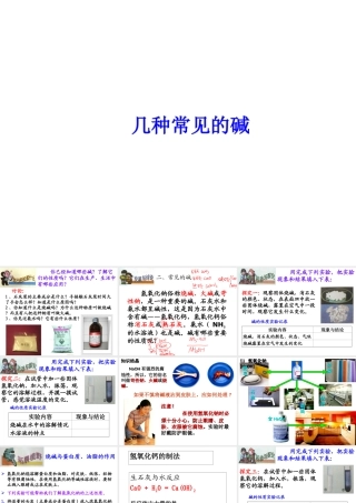 【冲刺中考】2013中考化学难点突破专题02 几种常见的碱课件