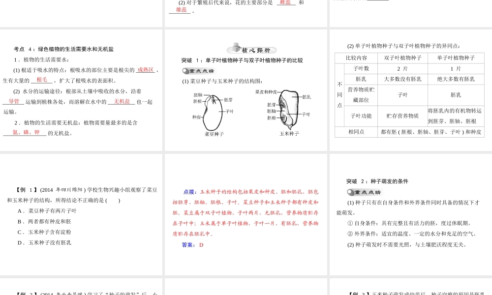 【中考风向标】2015年中考生物基础复习 第三章 第一讲 被子植物的一生课件