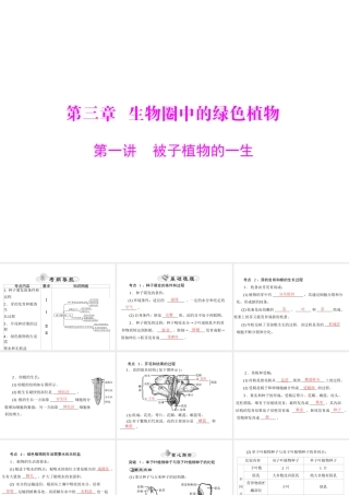 【中考风向标】2015年中考生物基础复习 第三章 第一讲 被子植物的一生课件