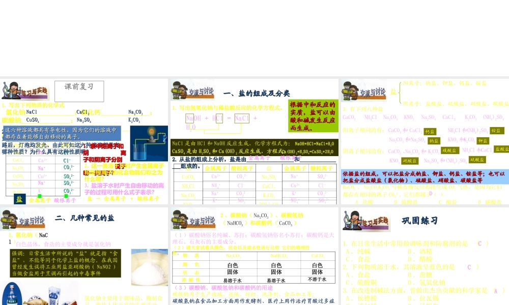 【冲刺中考】2013中考化学难点突破专题04 几种常见的盐课件
