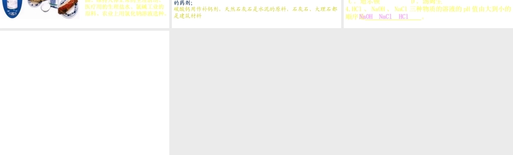 【冲刺中考】2013中考化学难点突破专题04 几种常见的盐课件