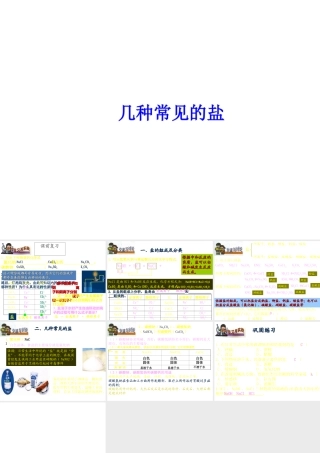 【冲刺中考】2013中考化学难点突破专题04 几种常见的盐课件