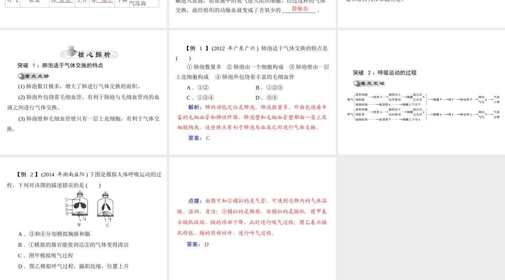 【中考风向标】2015年中考生物基础复习 第四章 第二讲 人体的呼吸课件