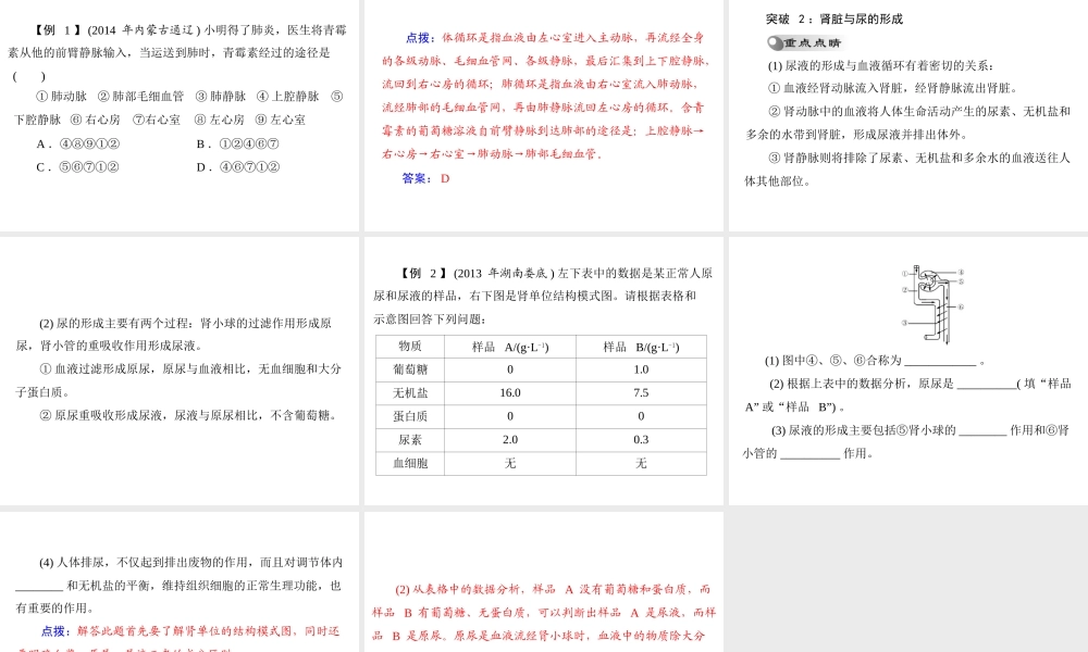 【中考风向标】2015年中考生物基础复习 第四章 第三讲 人体内的物质运输及废物的形成与排出课件