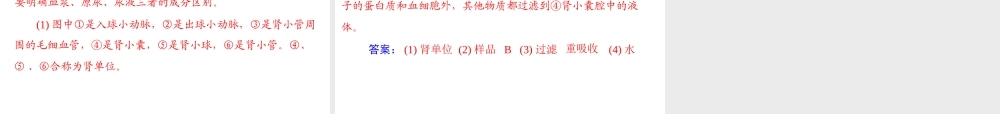 【中考风向标】2015年中考生物基础复习 第四章 第三讲 人体内的物质运输及废物的形成与排出课件