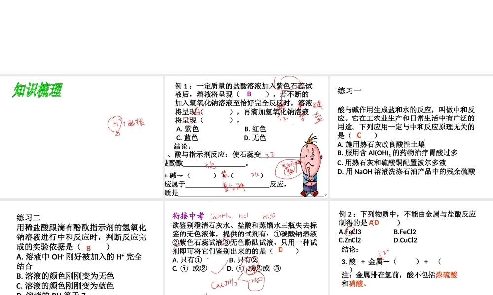 【冲刺中考】2013中考化学难点突破专题07 酸的通性课件