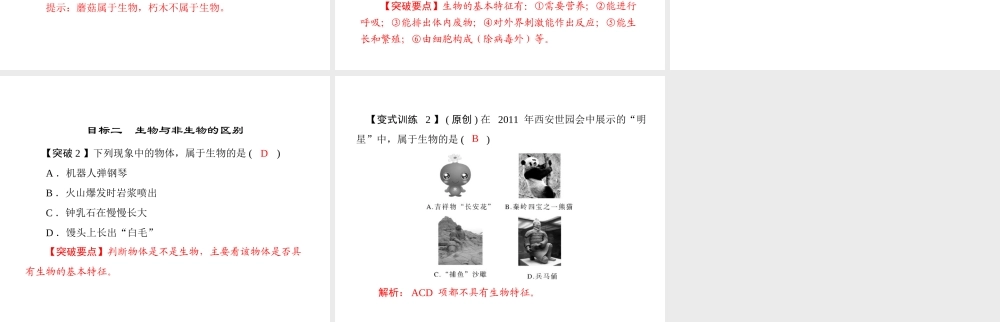 《随堂优化训练》2011年七年级生物上册 第一单元 第一章 第一节 生物的特征配套课件 人教新课标版