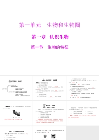 《随堂优化训练》2011年七年级生物上册 第一单元 第一章 第一节 生物的特征配套课件 人教新课标版
