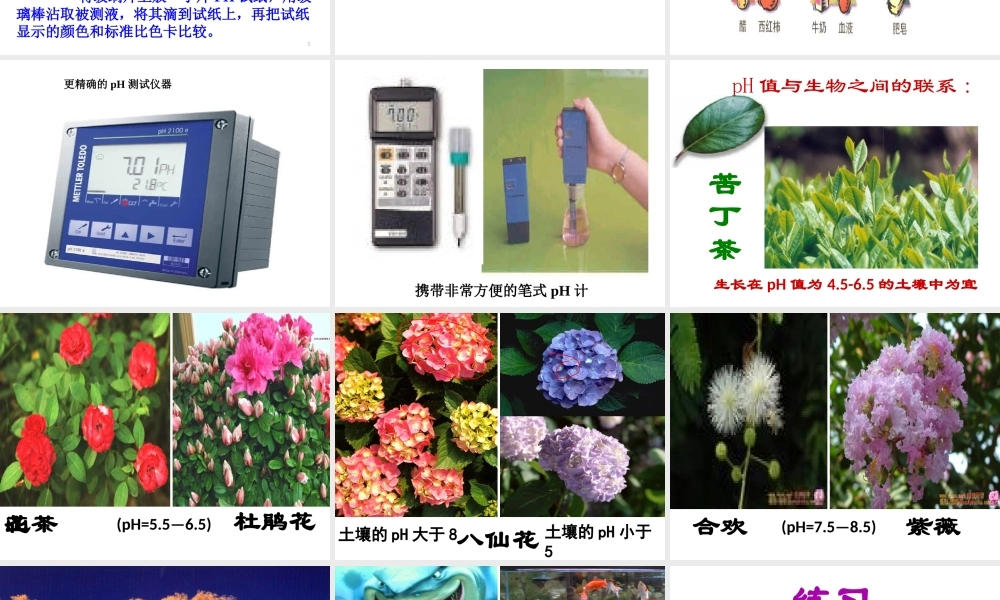 【冲刺中考】2013中考化学难点突破专题08 酸碱指示剂与PH试纸课件