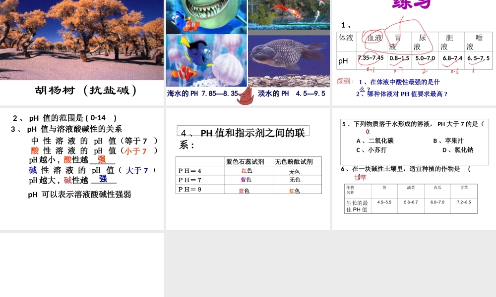 【冲刺中考】2013中考化学难点突破专题08 酸碱指示剂与PH试纸课件