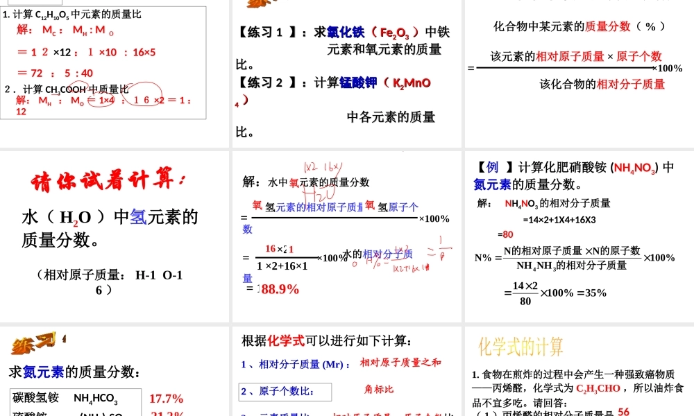 【冲刺中考】2013中考化学难点突破专题09 有关化学式的计算课件