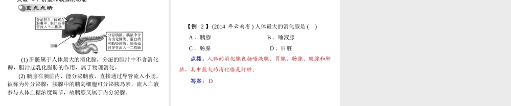 【中考风向标】2015年中考生物基础复习 第四章 第一讲 人体的营养课件
