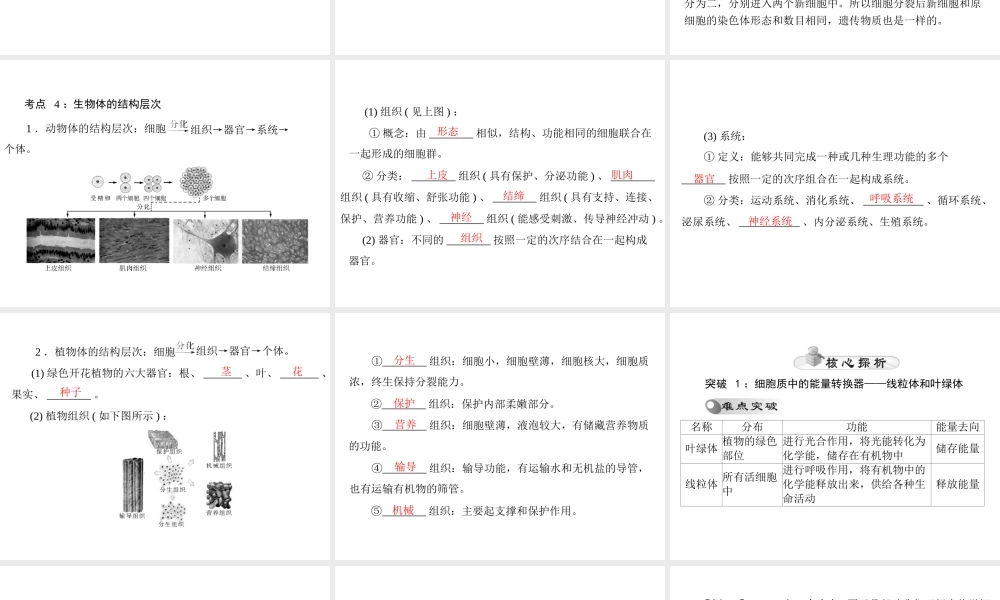 【中考风向标】2015年中考生物基础复习 第一章 第二讲 动、植物体的结构层次课件