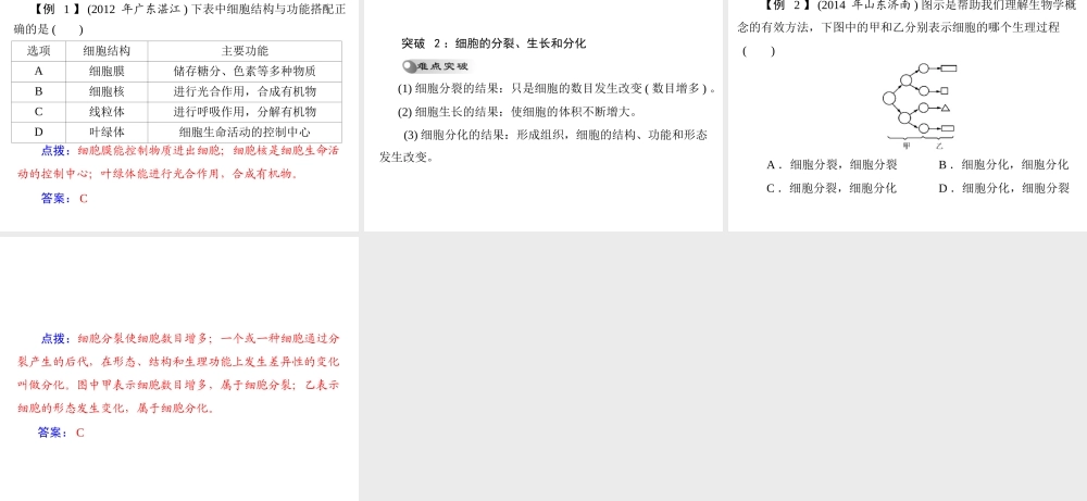 【中考风向标】2015年中考生物基础复习 第一章 第二讲 动、植物体的结构层次课件