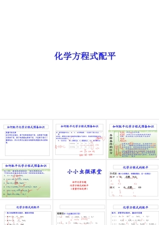 【冲刺中考】2013中考化学难点突破专题16 化学方程式配平课件