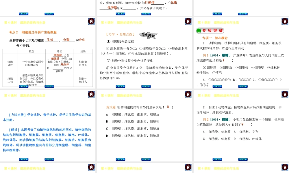 【中考复习方案】2015中考生物总复习 第4课时 细胞的结构与生活课件（考点聚焦+归类探究+回归教材）