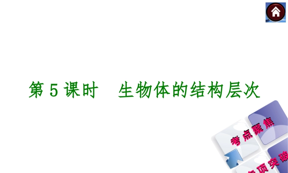 【中考复习方案】2015中考生物总复习 第5课时 生物体的结构层次课件（考点聚焦+归类探究+回归教材）