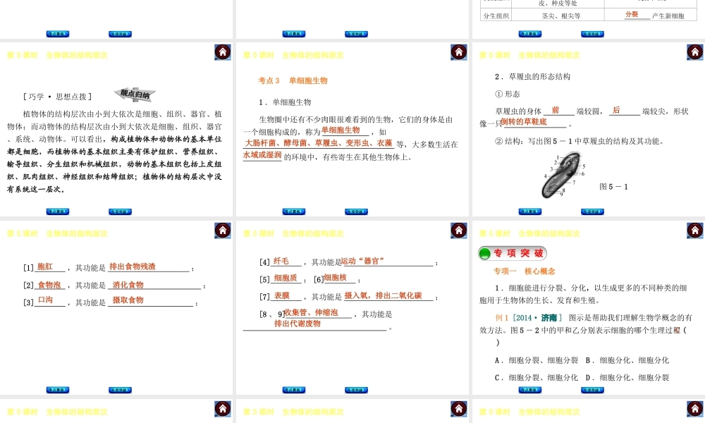 【中考复习方案】2015中考生物总复习 第5课时 生物体的结构层次课件（考点聚焦+归类探究+回归教材）