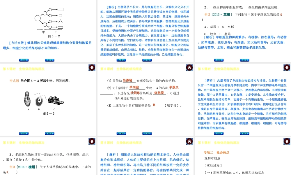 【中考复习方案】2015中考生物总复习 第5课时 生物体的结构层次课件（考点聚焦+归类探究+回归教材）