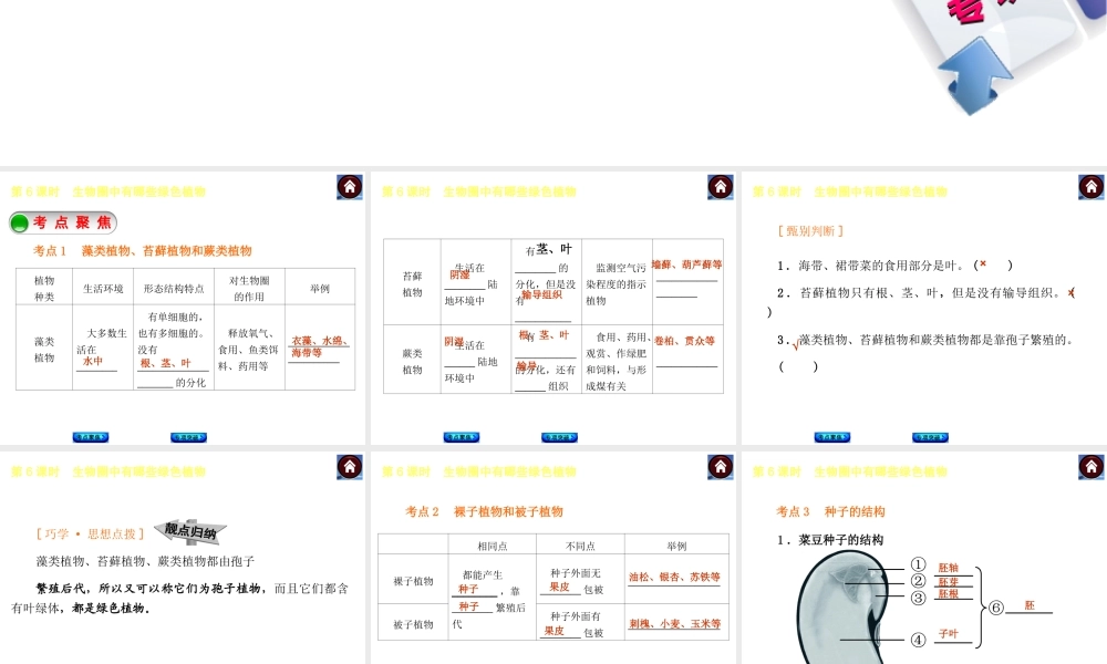 【中考复习方案】2015中考生物总复习 第6课时 生物圈中有哪些绿色植物课件（考点聚焦+归类探究+回归教材）